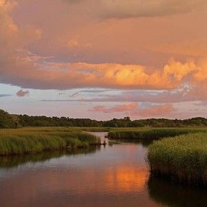 Meet your Posher, Hedda